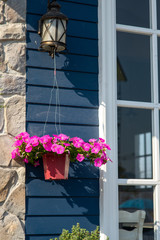 Flower pot hanging  with lamp near window outdoor.