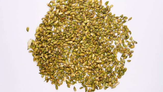 top view herb medicine HuaiHua or Sophorae Flos or Black Locust Flower rotate and pause