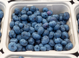 Close up basket of delicious ripe blueberries ready to eat