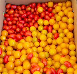 Box of tasty red and yellow cherry tomatoes ready to eat and super juicy 
