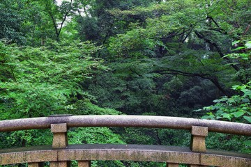 Traditional Japanese gardens in public parks in Tokyo, Japan. Views of stone lanterns, lakes, ponds, bonsai and wildlife walking around paths and trails. Asia. 