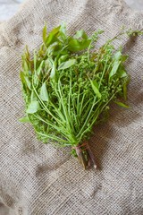 Neem leaves on old fabric - Azadirachta indica
