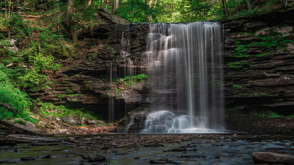 Fototapeta premium waterfall in forest