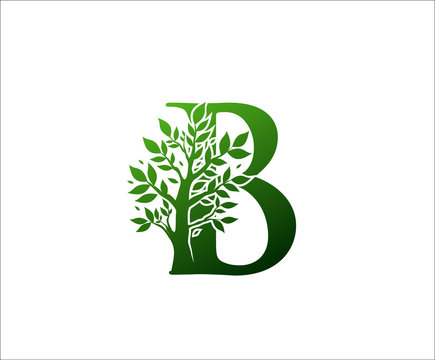 B Logo Letter Created From Tree Branches and Leaves. Tree Letter Design with Ecology Concept..