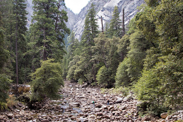 Yosemite Stream