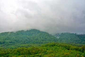 landscape with clouds descending on the forest