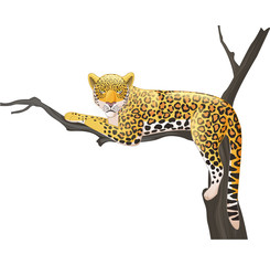 Cartoon leopard lying on a tree branch  © tigatelu