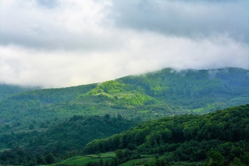 landscape with clouds descending on the forest