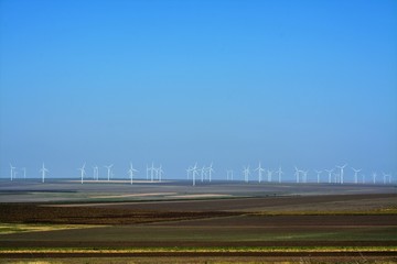 field with wind turbines
