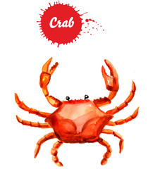 Crab isolated on white background, watercolor illustration