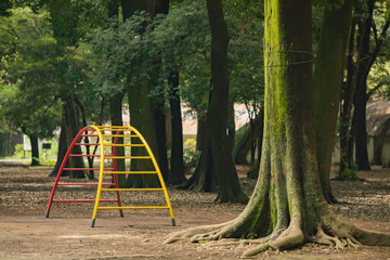 Fototapeta premium 夏 日本 公園