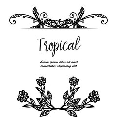 Various card with concept tropical, texture cute wreath frame, isolated on a white backdrop. Vector