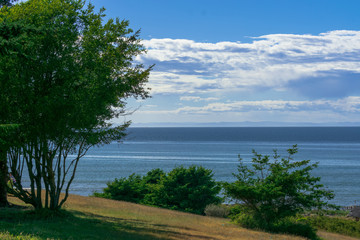 A Sunny Day On Whidbey Island