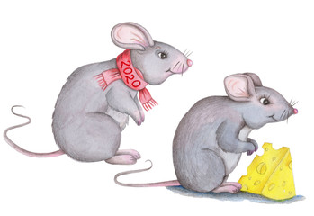 Two gray rats. Watercolor. Isolated on white.