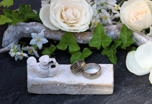 Ringe mit Tauben