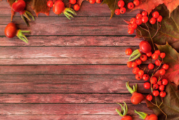 Autumn colors.On a wooden surface are bright orange rowan berries and rose hips
