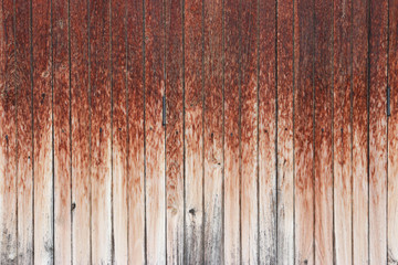 Old wooden door at the front of the house. The sun and rain, the color of pale wood.