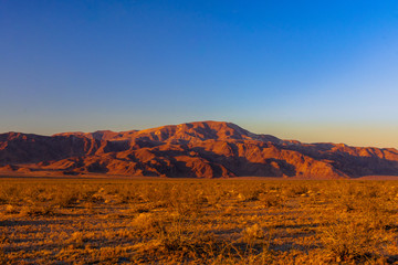 Joshua Tree National Park,  California