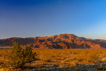 Joshua Tree National Park,  California