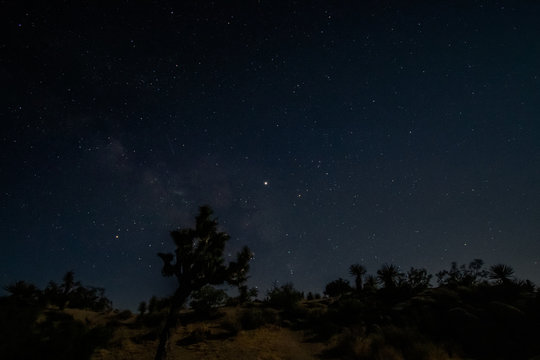 Night Sky at Joshua Tree National Park, California © TSchofield