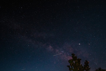 Fototapeta na wymiar Night Sky at Joshua Tree National Park, California