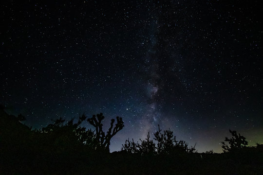 Night Sky At Joshua Tree National Park,  California