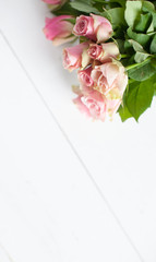 Pink roses laying on a white wooden background 
