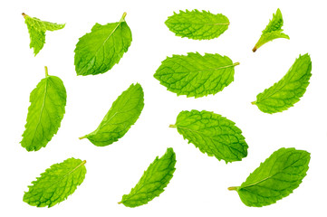 Top view of mint leaves isolated on white background.