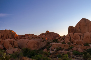 Joshua Tree National Park,  California