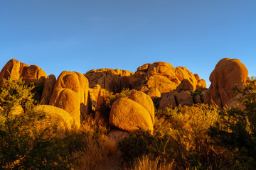 Joshua Tree National Park,  California