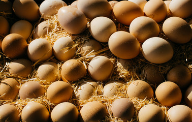 Organic fresh farm eggs at the market