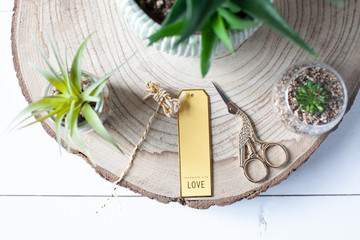 Top view flat lay of succulent plants together with some golden household items on a wooden plank on a white wooden table background