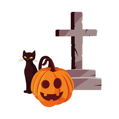 pumpkin cat happy halloween celebration