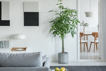 White industrial lamp on console table in bright living room interior with plants and grey comfortable sofa