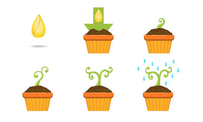 Plant Growing Stages Set, Growth of Plant in Pot from Seed to Plant Vector Illustration