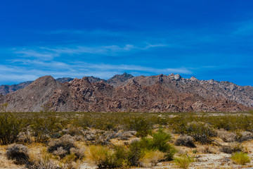 Fototapeta na wymiar Summer in Mojave Desert National Preserve