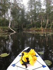 view from stand up paddle to misty reflection in steam water, morning mist on lake, 