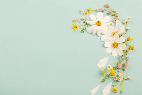Fototapeta white flowers on paper background