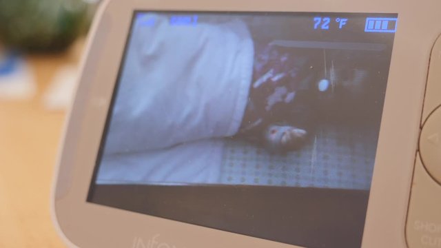 Baby monitor shows baby girl playing in her crib with stuffed animal