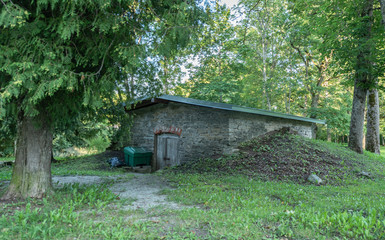 old house in the forest