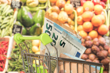 Einkaufswagen, Euro Geldscheine und Lebensmittel