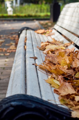Fall season in the park. Yellow maple leaves on white garden bench. Selective focus