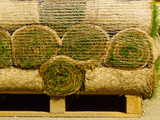Stacks of sod rolls for new lawn
