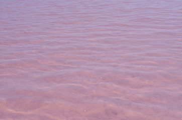 The pink lake. Pure water. Salt at the bottom.