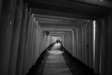 Fushimi Inari taisha thousand shrines in Kyoto Japan