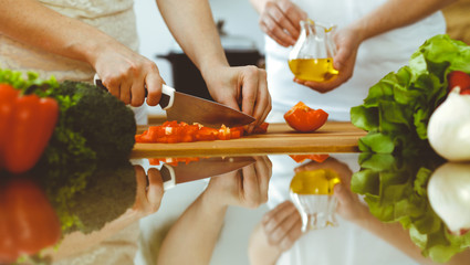 Closeup of human hands cooking in kitchen. Mother and daughter or two female friends cutting vegetables for fresh salad. Friendship, family dinner and lifestyle concepts