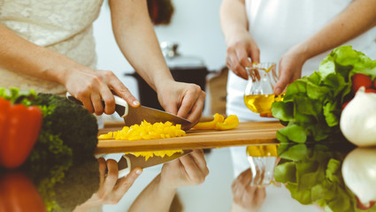 Closeup of human hands cooking in kitchen. Mother and daughter or two female friends cutting vegetables for fresh salad. Friendship, family dinner and lifestyle concepts