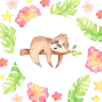 Cartoon exotic tropics. Cute sloth on a branch. Template for greeting card, baby invitation.