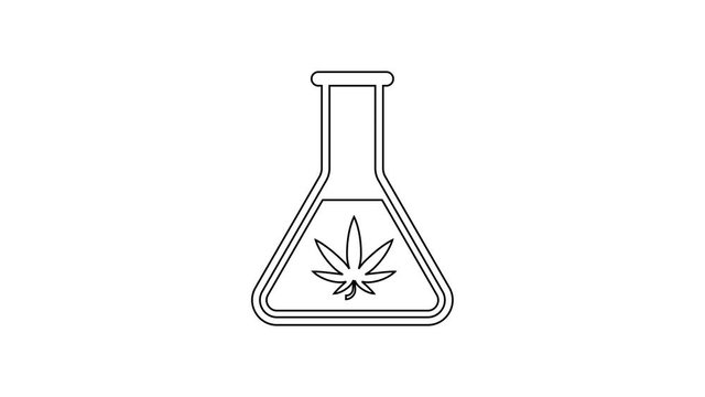 Black Chemical test tube with marijuana or cannabis leaf line icon on white background. Research concept. Laboratory CBD oil concept. 4K Video motion graphic animation