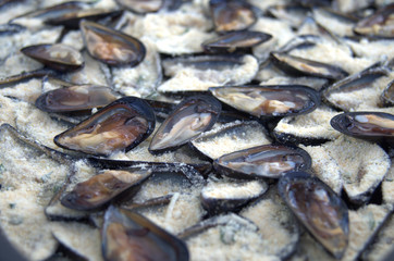 Una teglia di cozze italiane pronte per essere cucinate.